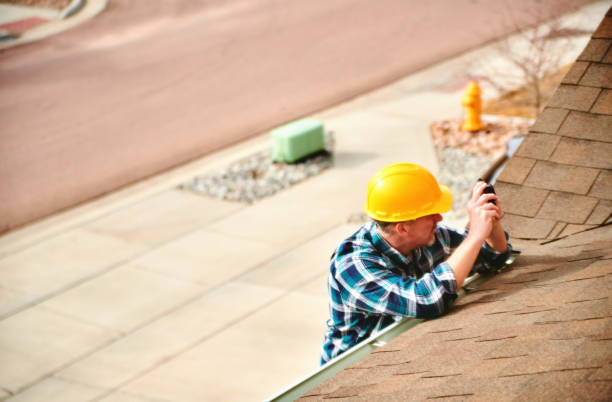 Best Metal Roofing Contractor  in Rock Valley, IA