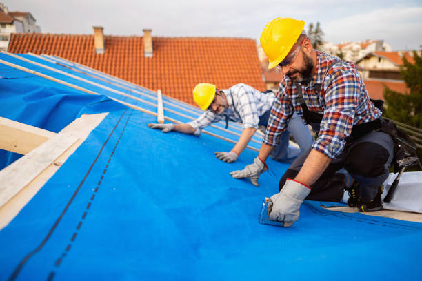 Roof Gutter Cleaning in Rock Valley, IA